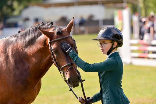 Goldene Schärpe Ponys in Hohenberg Krusemark 2024 | 14072024 Vormustern_323 