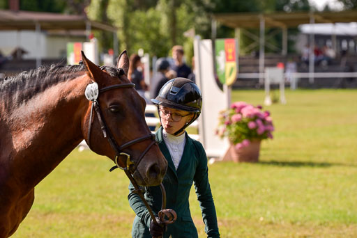 Goldene Schärpe Ponys in Hohenberg Krusemark 2024 | 14072024 Vormustern_326 