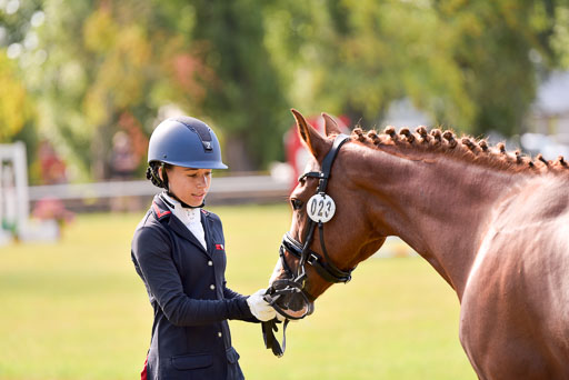 Goldene Schärpe Ponys in Hohenberg Krusemark 2024 | 14072024 Vormustern_327 