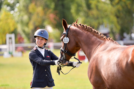 Goldene Schärpe Ponys in Hohenberg Krusemark 2024 | 14072024 Vormustern_328 