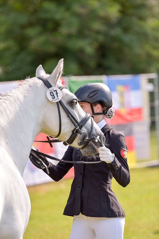 Goldene Schärpe Ponys in Hohenberg Krusemark 2024 | 14072024 Vormustern_329 