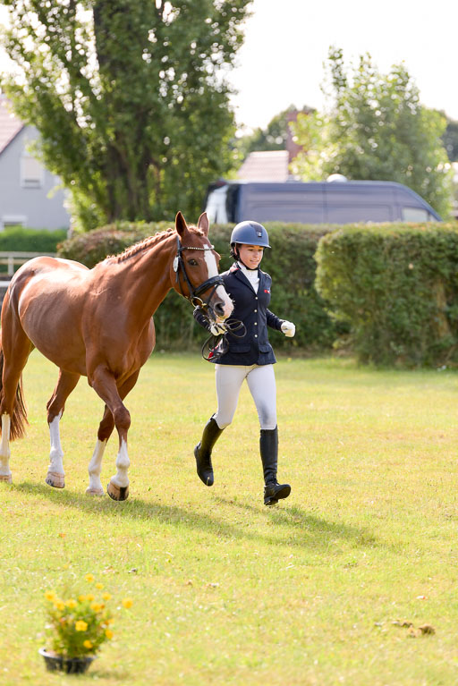 Goldene Schärpe Ponys in Hohenberg Krusemark 2024 | 14072024 Vormustern_330 