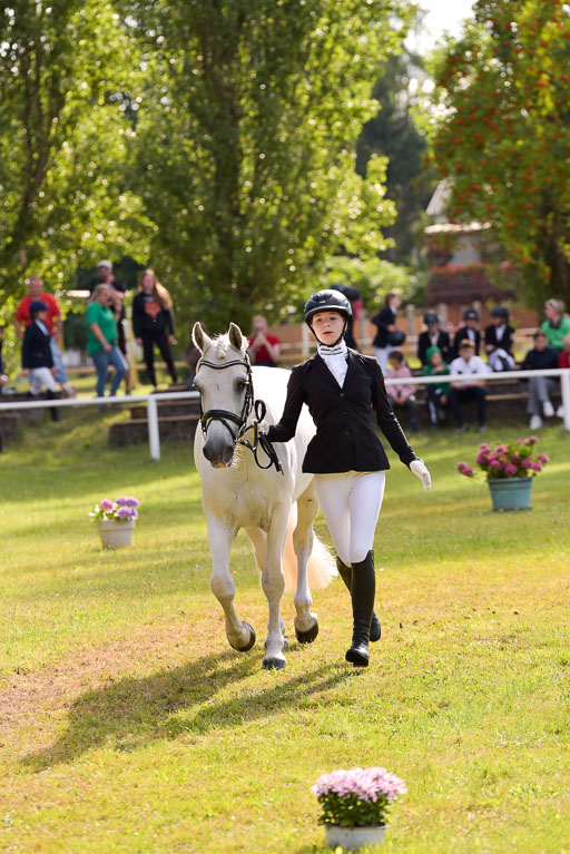 Goldene Schärpe Ponys in Hohenberg Krusemark 2024 | 14072024 Vormustern_331 