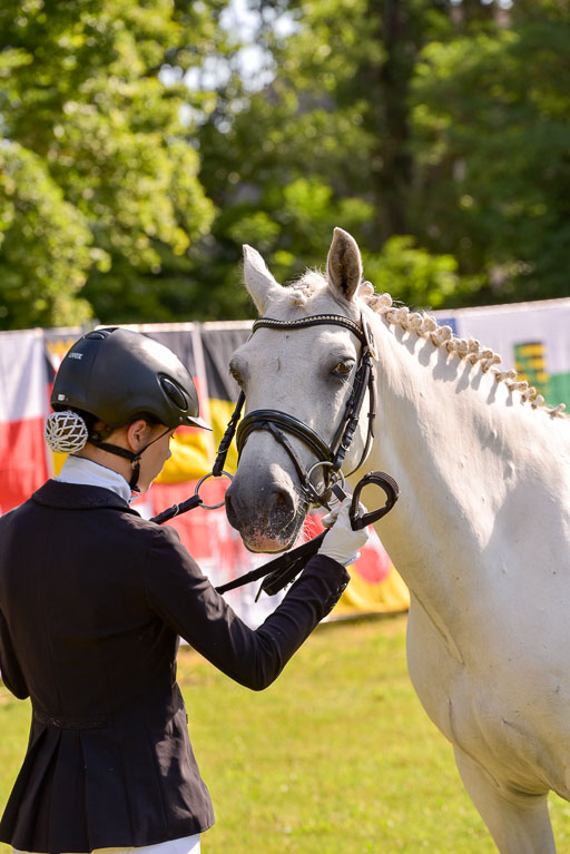 Goldene Schärpe Ponys in Hohenberg Krusemark 2024 | 14072024 Vormustern_334 