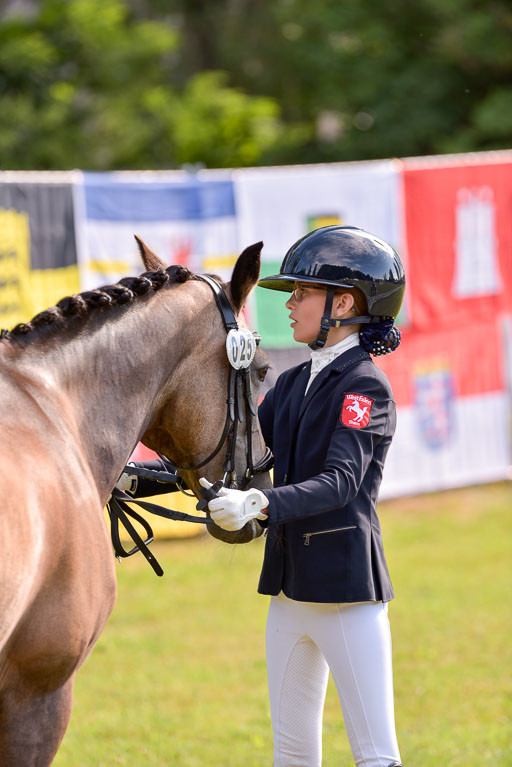 Goldene Schärpe Ponys in Hohenberg Krusemark 2024 | 14072024 Vormustern_337 