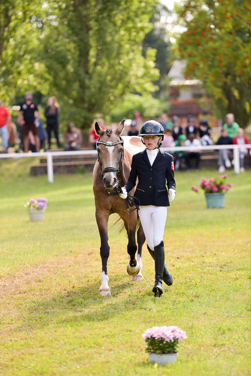 Goldene Schärpe Ponys in Hohenberg Krusemark 2024 | 14072024 Vormustern_340 