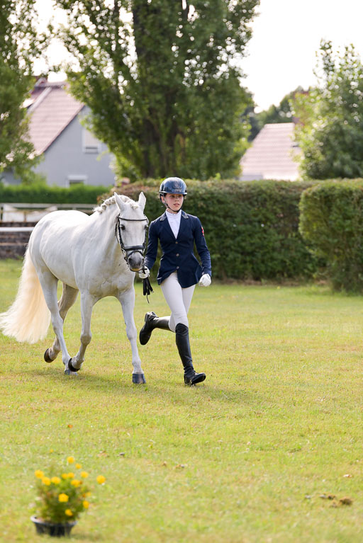 Goldene Schärpe Ponys in Hohenberg Krusemark 2024 | 14072024 Vormustern_342 