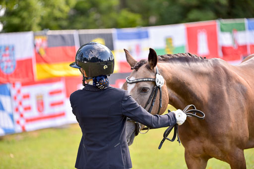 Goldene Schärpe Ponys in Hohenberg Krusemark 2024 | 14072024 Vormustern_343 