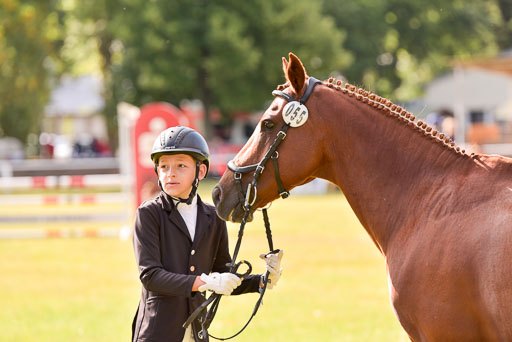Goldene Schärpe Ponys in Hohenberg Krusemark 2024 | 14072024 Vormustern_349 