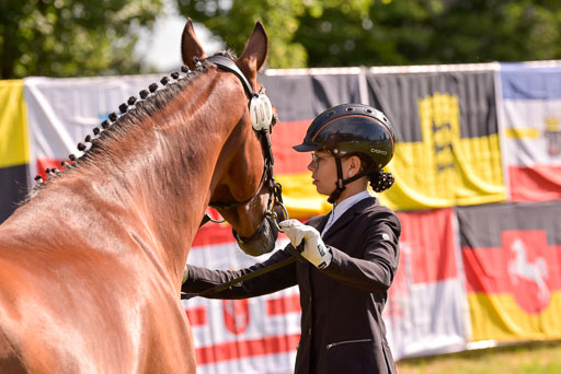 Goldene Schärpe Ponys in Hohenberg Krusemark 2024 | 14072024 Vormustern_350 