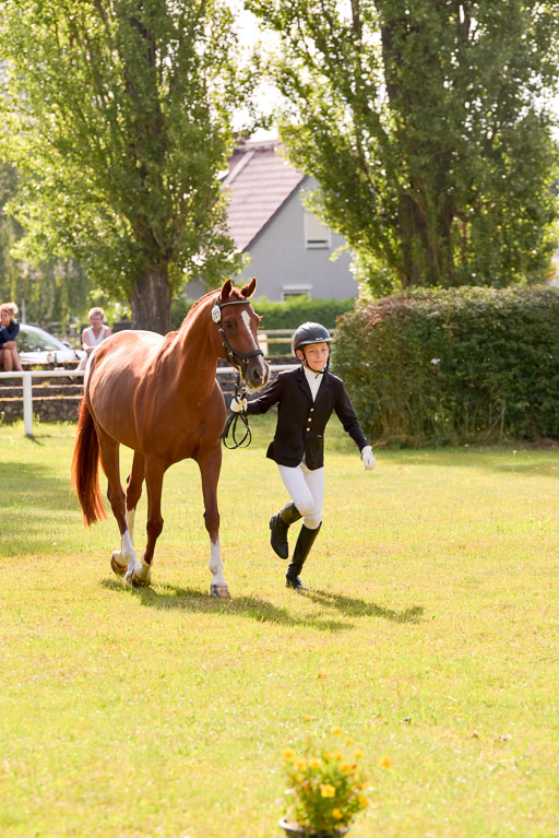 Goldene Schärpe Ponys in Hohenberg Krusemark 2024 | 14072024 Vormustern_351 