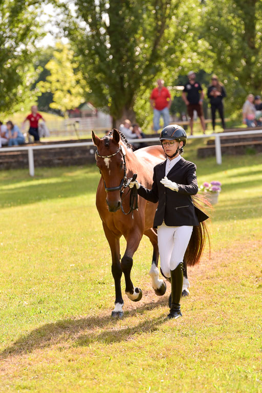 Goldene Schärpe Ponys in Hohenberg Krusemark 2024 | 14072024 Vormustern_352 
