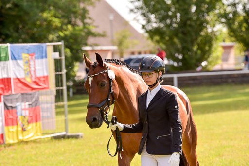 Goldene Schärpe Ponys in Hohenberg Krusemark 2024 | 14072024 Vormustern_353 