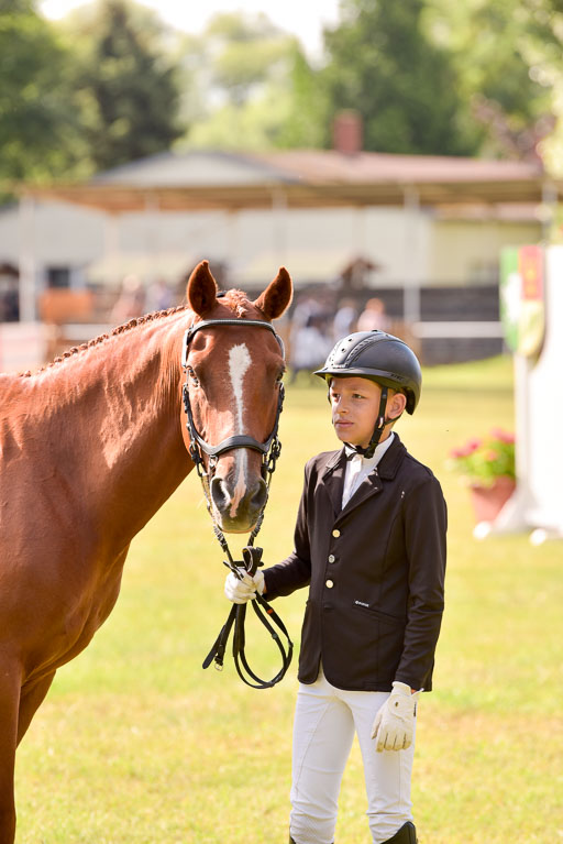 Goldene Schärpe Ponys in Hohenberg Krusemark 2024 | 14072024 Vormustern_355 