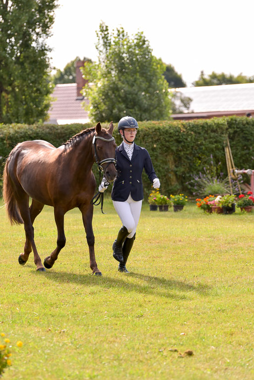 Goldene Schärpe Ponys in Hohenberg Krusemark 2024 | 14072024 Vormustern_359 