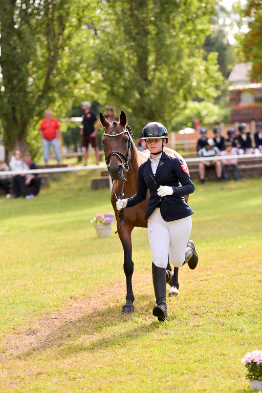 Goldene Schärpe Ponys in Hohenberg Krusemark 2024 | 14072024 Vormustern_360 