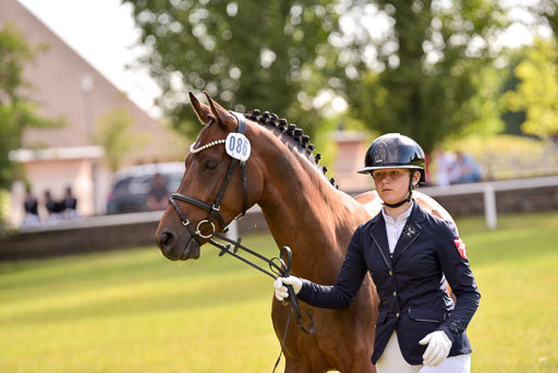 Goldene Schärpe Ponys in Hohenberg Krusemark 2024 | 14072024 Vormustern_362 
