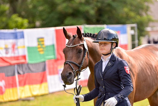 Goldene Schärpe Ponys in Hohenberg Krusemark 2024 | 14072024 Vormustern_363 
