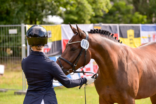 Goldene Schärpe Ponys in Hohenberg Krusemark 2024 | 14072024 Vormustern_364 