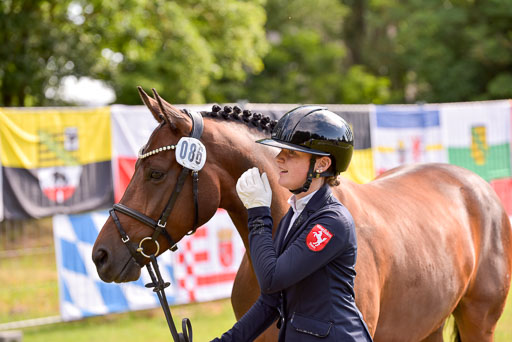 Goldene Schärpe Ponys in Hohenberg Krusemark 2024 | 14072024 Vormustern_365 