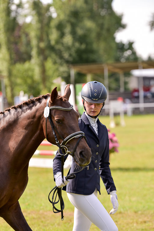 Goldene Schärpe Ponys in Hohenberg Krusemark 2024 | 14072024 Vormustern_366 