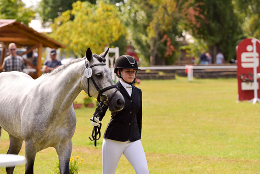 Goldene Schärpe Ponys in Hohenberg Krusemark 2024 | 14072024 Vormustern_371 