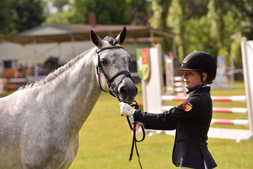 Goldene Schärpe Ponys in Hohenberg Krusemark 2024 | 14072024 Vormustern_374 