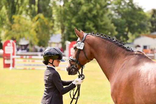 Goldene Schärpe Ponys in Hohenberg Krusemark 2024 | 14072024 Vormustern_378 