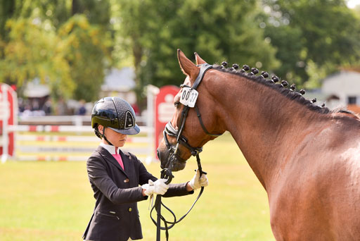 Goldene Schärpe Ponys in Hohenberg Krusemark 2024 | 14072024 Vormustern_379 