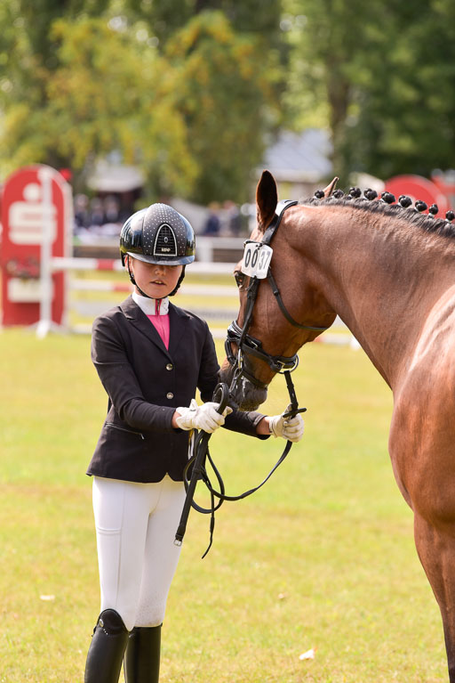 Goldene Schärpe Ponys in Hohenberg Krusemark 2024 | 14072024 Vormustern_381 