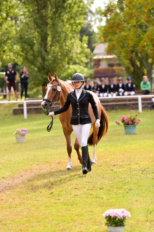 Goldene Schärpe Ponys in Hohenberg Krusemark 2024 | 14072024 Vormustern_382 