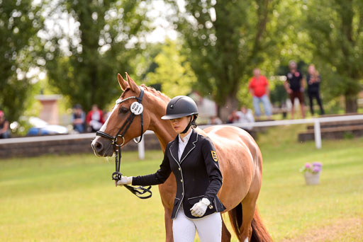 Goldene Schärpe Ponys in Hohenberg Krusemark 2024 | 14072024 Vormustern_383 