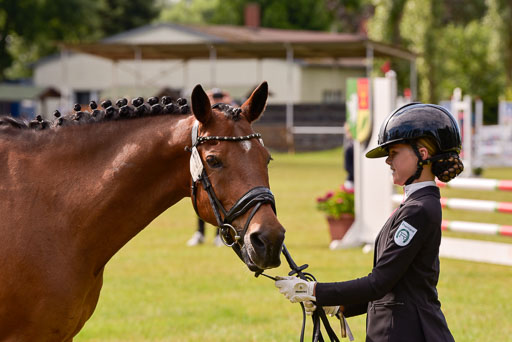 Goldene Schärpe Ponys in Hohenberg Krusemark 2024 | 14072024 Vormustern_387 
