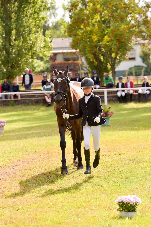 Goldene Schärpe Ponys in Hohenberg Krusemark 2024 | 14072024 Vormustern_389 