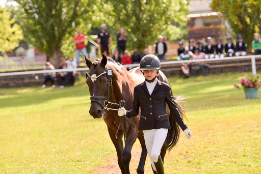 Goldene Schärpe Ponys in Hohenberg Krusemark 2024 | 14072024 Vormustern_390 
