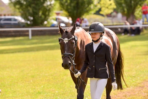 Goldene Schärpe Ponys in Hohenberg Krusemark 2024 | 14072024 Vormustern_391 