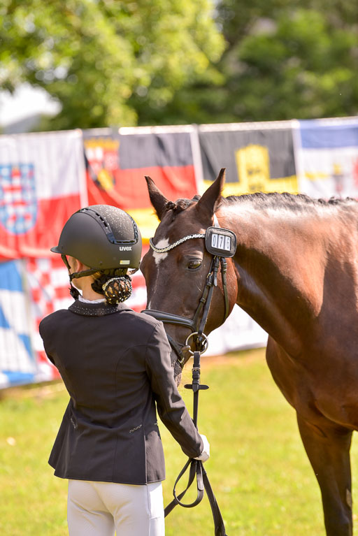Goldene Schärpe Ponys in Hohenberg Krusemark 2024 | 14072024 Vormustern_392 