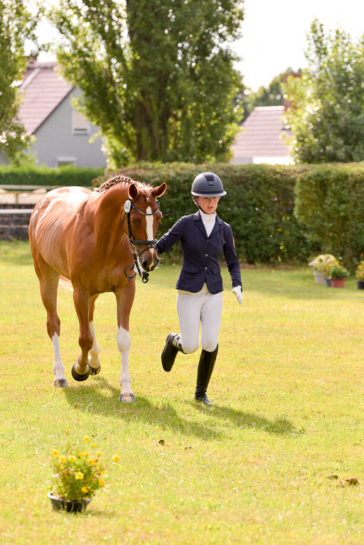 Goldene Schärpe Ponys in Hohenberg Krusemark 2024 | 14072024 Vormustern_393 