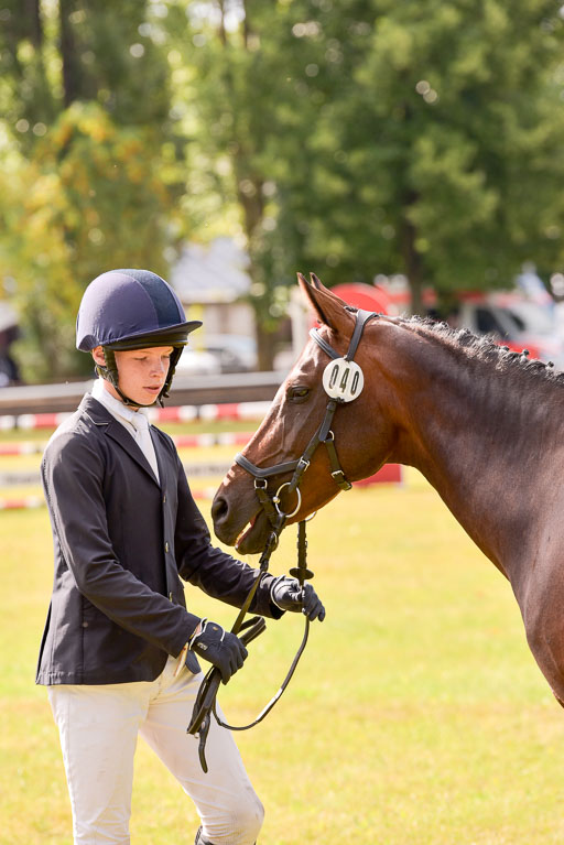 Goldene Schärpe Ponys in Hohenberg Krusemark 2024 | 14072024 Vormustern_397 