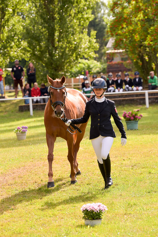 Goldene Schärpe Ponys in Hohenberg Krusemark 2024 | 14072024 Vormustern_399 