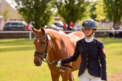Goldene Schärpe Ponys in Hohenberg Krusemark 2024 | 14072024 Vormustern_400 