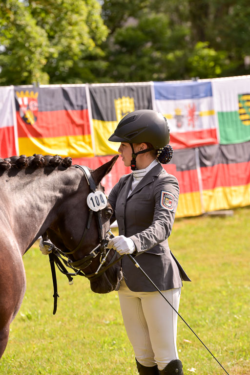 Goldene Schärpe Ponys in Hohenberg Krusemark 2024 | 14072024 Vormustern_405 
