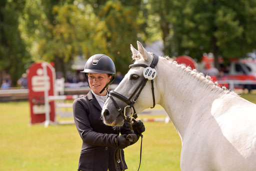 Goldene Schärpe Ponys in Hohenberg Krusemark 2024 | 14072024 Vormustern_406 