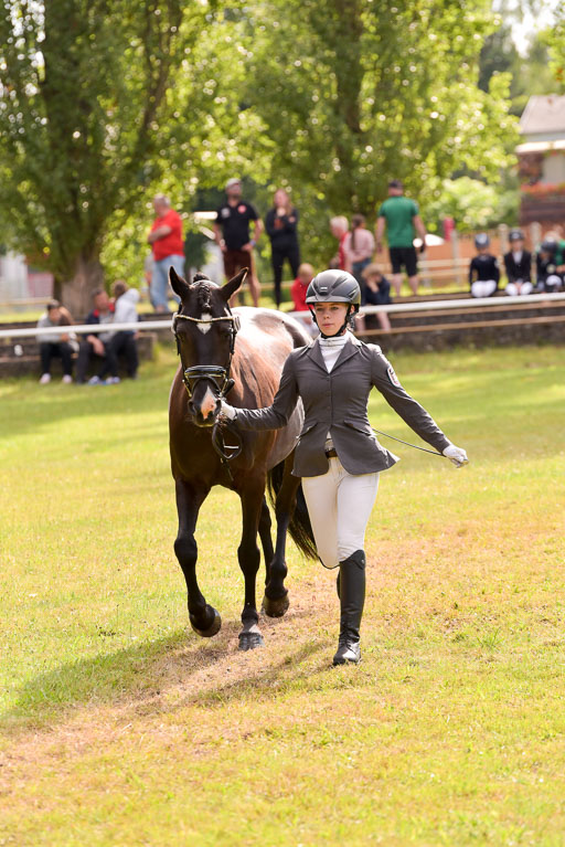 Goldene Schärpe Ponys in Hohenberg Krusemark 2024 | 14072024 Vormustern_408 