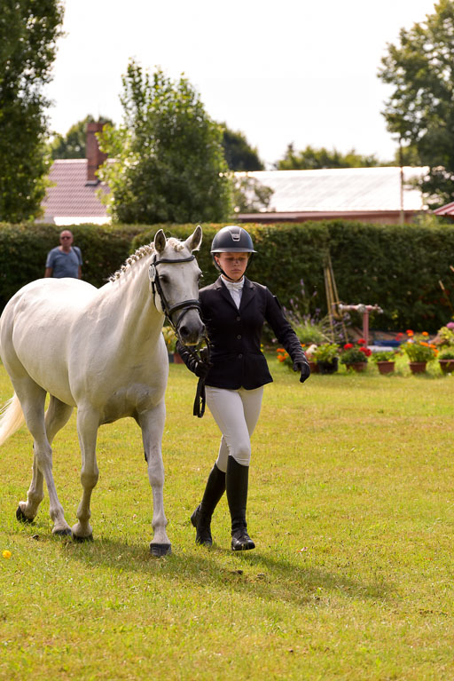 Goldene Schärpe Ponys in Hohenberg Krusemark 2024 | 14072024 Vormustern_410 