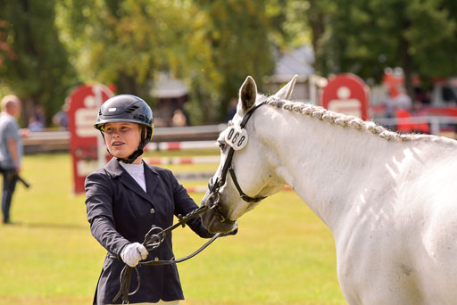 Goldene Schärpe Ponys in Hohenberg Krusemark 2024 | 14072024 Vormustern_412 