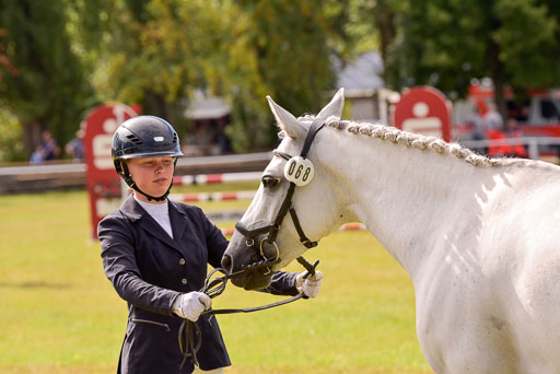 Goldene Schärpe Ponys in Hohenberg Krusemark 2024 | 14072024 Vormustern_413 