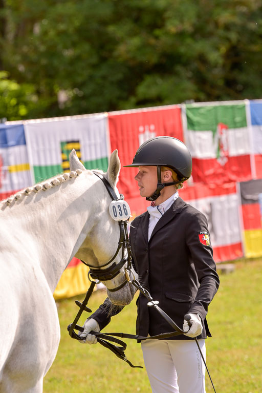 Goldene Schärpe Ponys in Hohenberg Krusemark 2024 | 14072024 Vormustern_414 