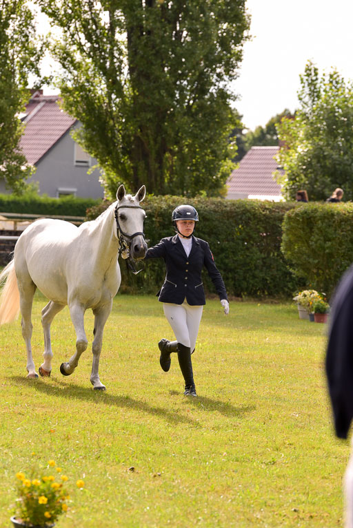 Goldene Schärpe Ponys in Hohenberg Krusemark 2024 | 14072024 Vormustern_416 