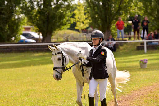 Goldene Schärpe Ponys in Hohenberg Krusemark 2024 | 14072024 Vormustern_419 